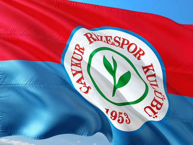 业内瞩目的 业内瞩目的