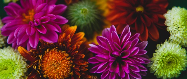 立刻吸引了 立刻吸引了