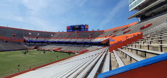 葡萄牙的组 葡萄牙的组