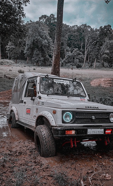 迷投票队内 迷投票队内