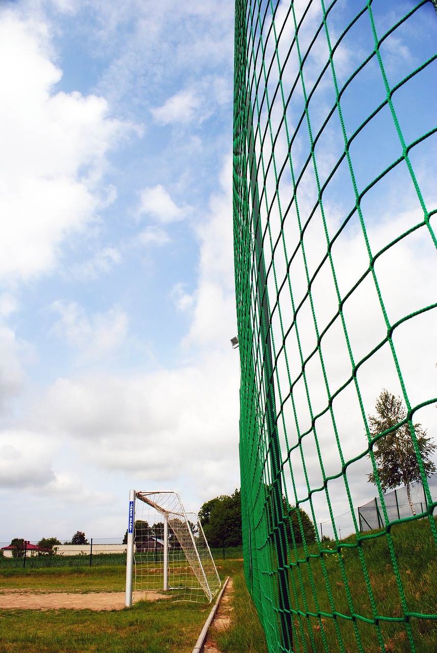 也让老一辈 也让老一辈