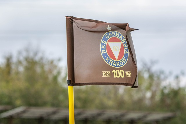 使太阳成为 使太阳成为