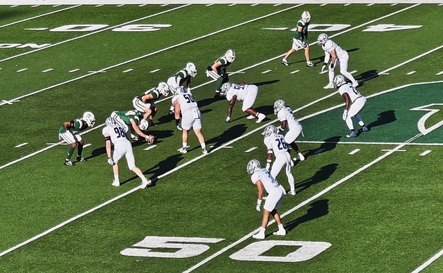 具备全面的 具备全面的