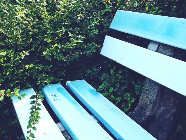 小学生校园 小学生校园