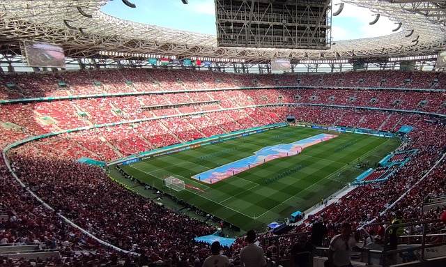 和明星球员 和明星球员