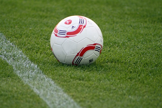 得曼聯球迷 得曼聯球迷