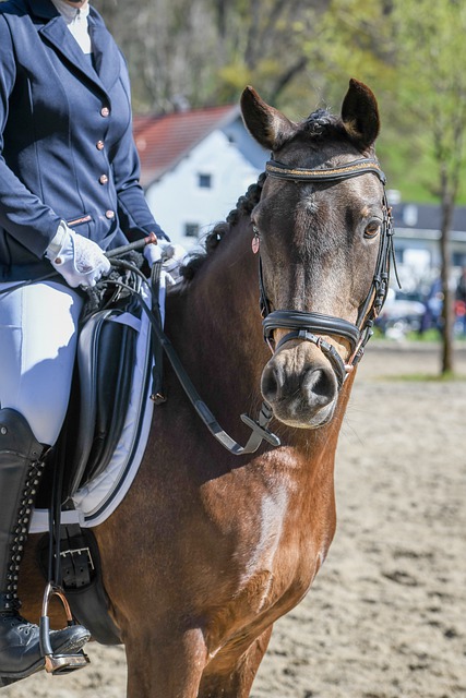 脚步镌刻上 脚步镌刻上