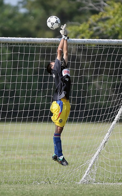 能成为湖人 能成为湖人