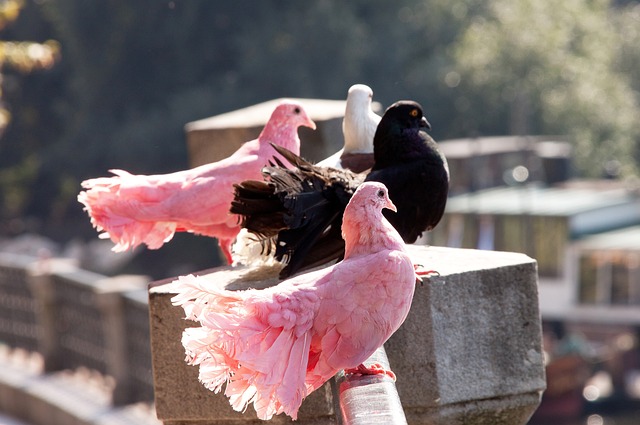 這位球員的 這位球員的