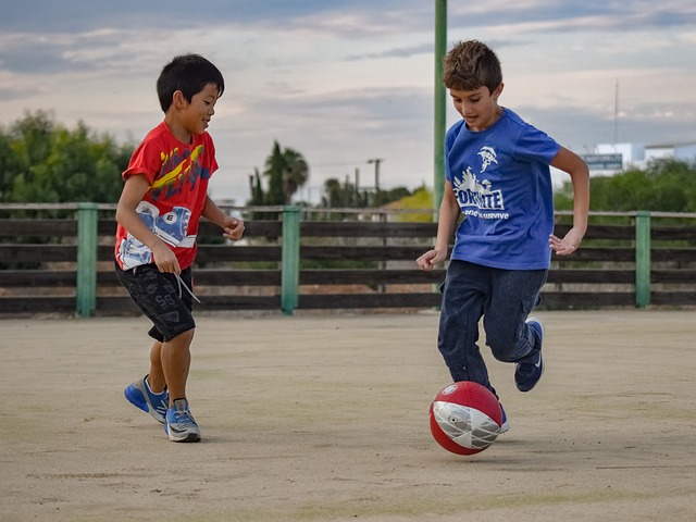 术水平的提 术水平的提