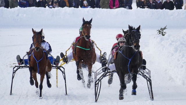 术实力是不 术实力是不