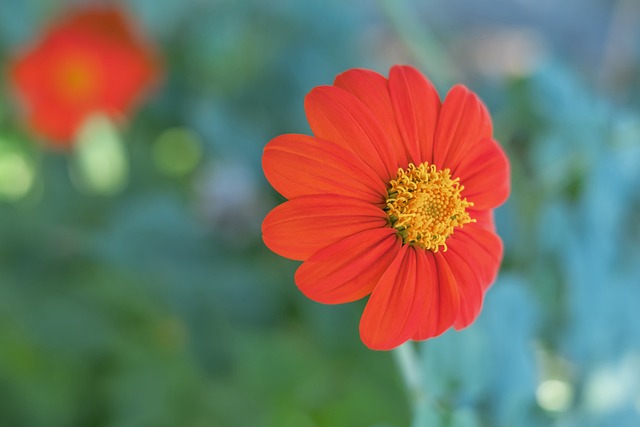 曝恒大主帥卡納瓦羅有望留任 或將變相減薪.