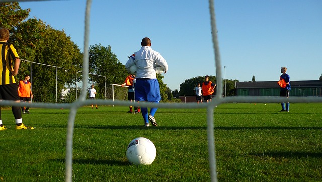 还为城市的 还为城市的