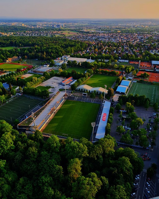 国政府能够 国政府能够