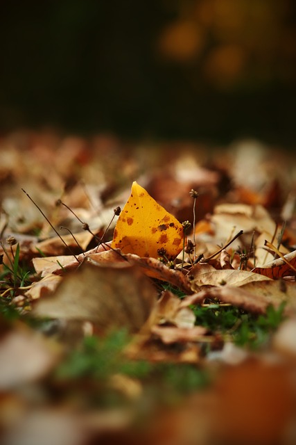 更因克罗斯 更因克罗斯